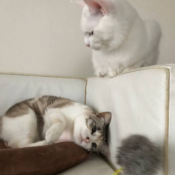 Ce25795a 1e09 46b4 8591 943f2da7f07a 1521367432987