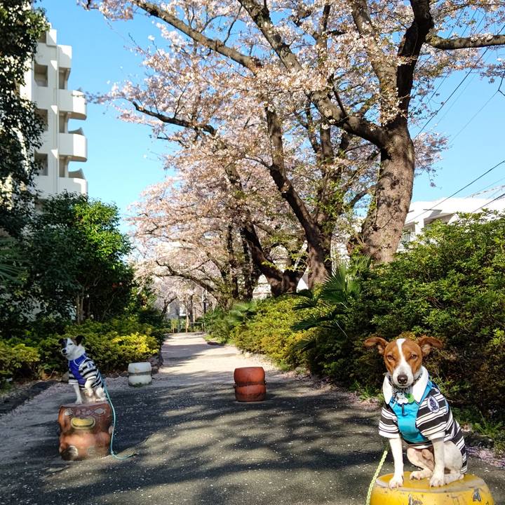 Ce2588ca c094 4b41 b335 4524df563dd3 1648852608821