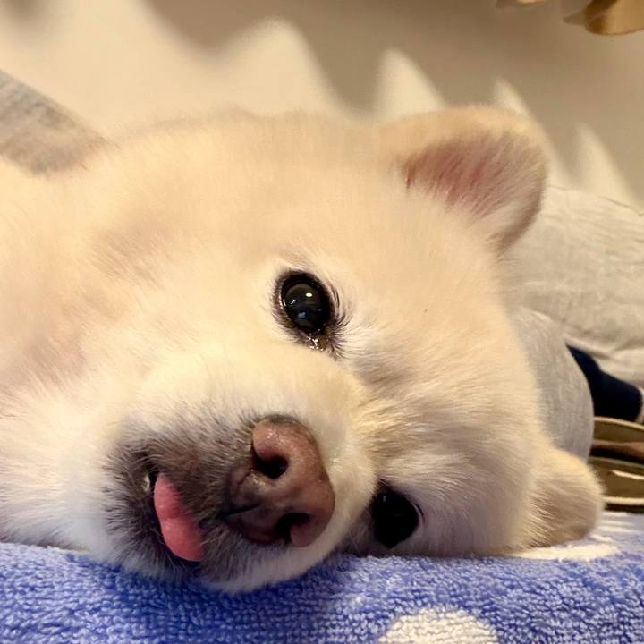 Ce259e51 ad88 4833 a532 2ade532d2839 1763987908496