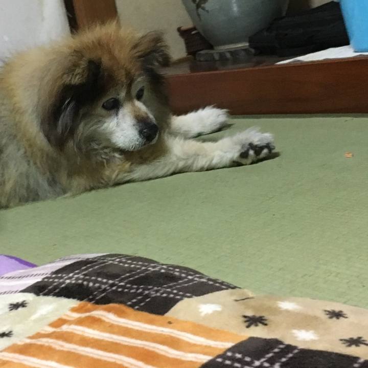 Ce25b33f 9f38 4638 bc38 51fb47c5eb22 1596070373684