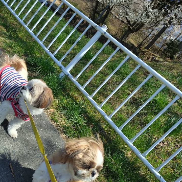 Ce25bb97 5a81 4650 86b3 5d730c706b63 1743740771797