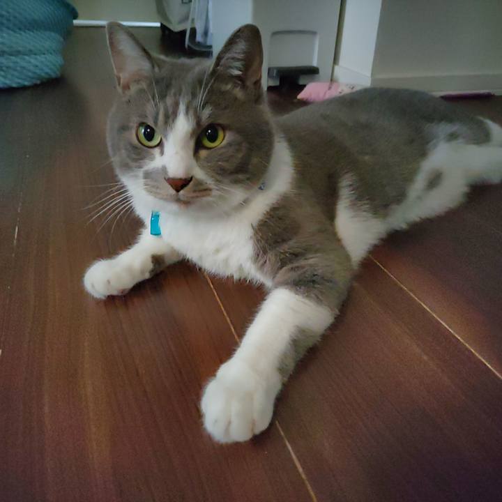 Ce2621a3 6f71 427a 89b8 a49d6ac1118d 1723777949753