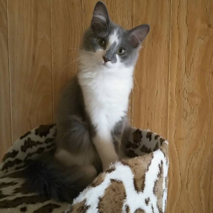 Ce268513 6224 48f3 b501 915e900dc1c0 1566103390200