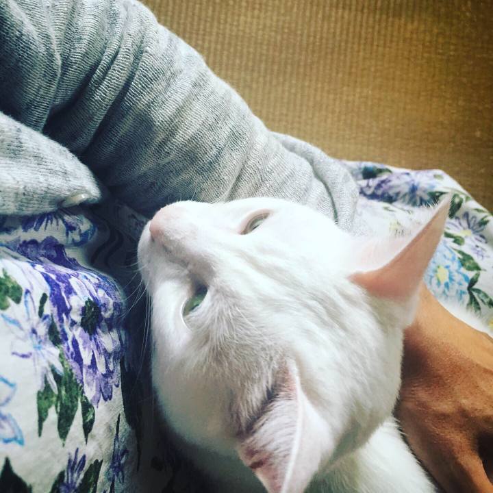 Ce26a639 a22e 4fc6 b5a6 0faa9012bdc3 1562975738962