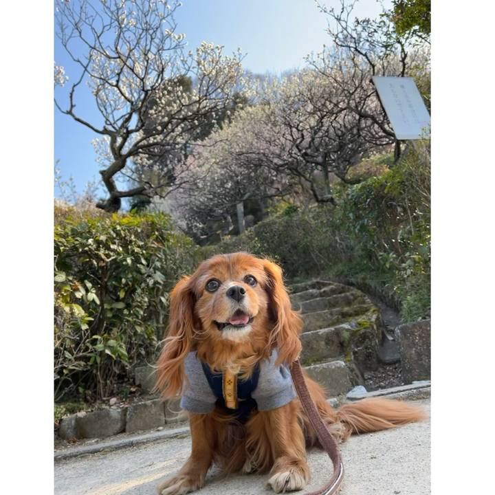 Ce26d2d2 25c9 4081 a3aa 9a90d615fc70 1742604048709