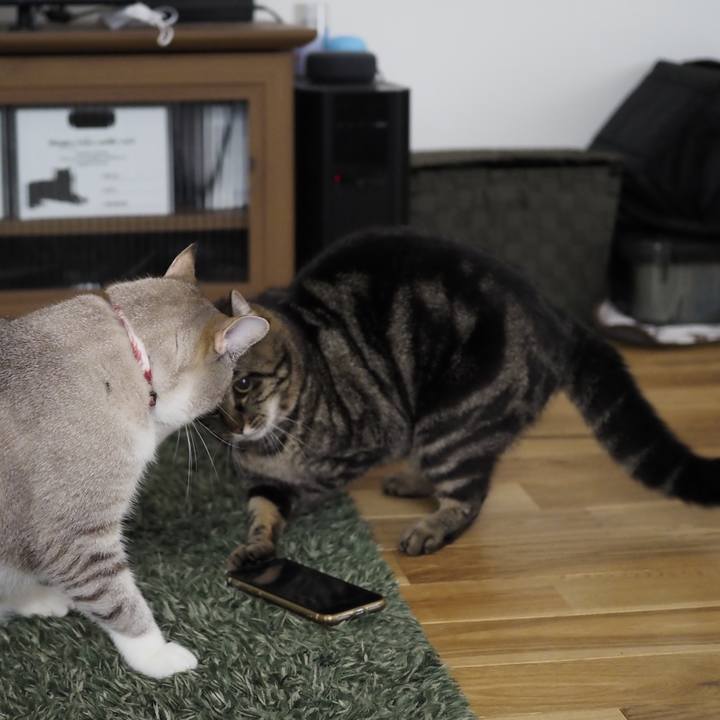 Ce26eb51 ba86 4f45 9d87 b1c858c28d07 1652930862079