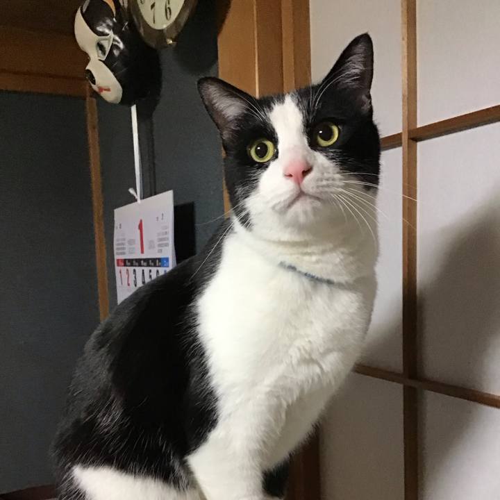 Ce272f92 e389 46c9 912f 47dd76b6aef3 1674564956386