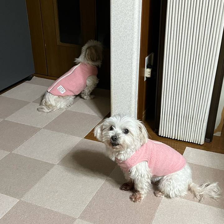 Ce27309d 0c07 4a8e 9aeb 0813c8e44598 1735557385910