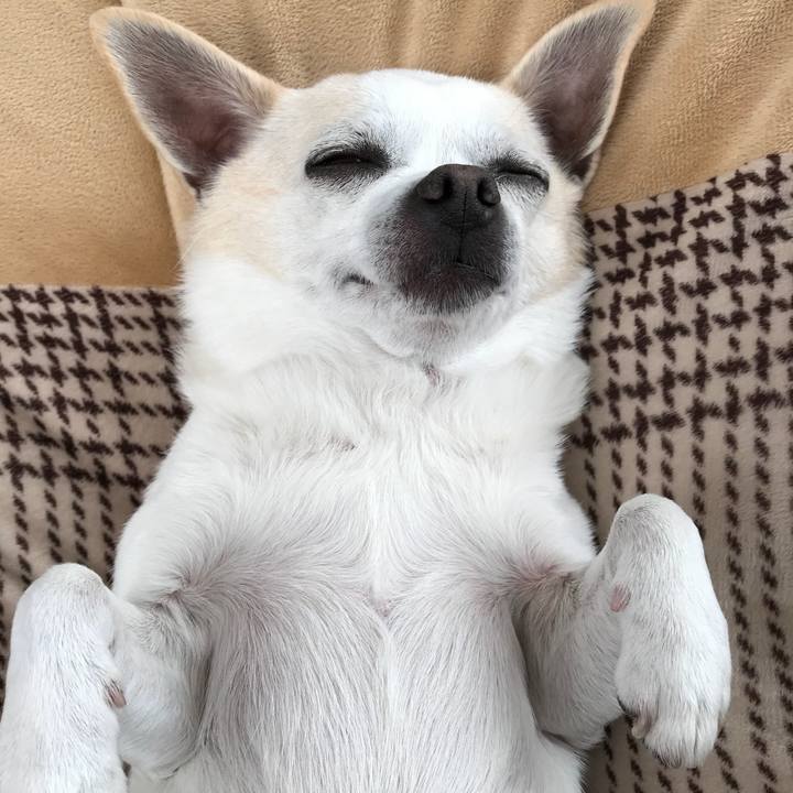 Ce276e6b 45e4 4e89 af5f d48ebe1634fa 1516103821482