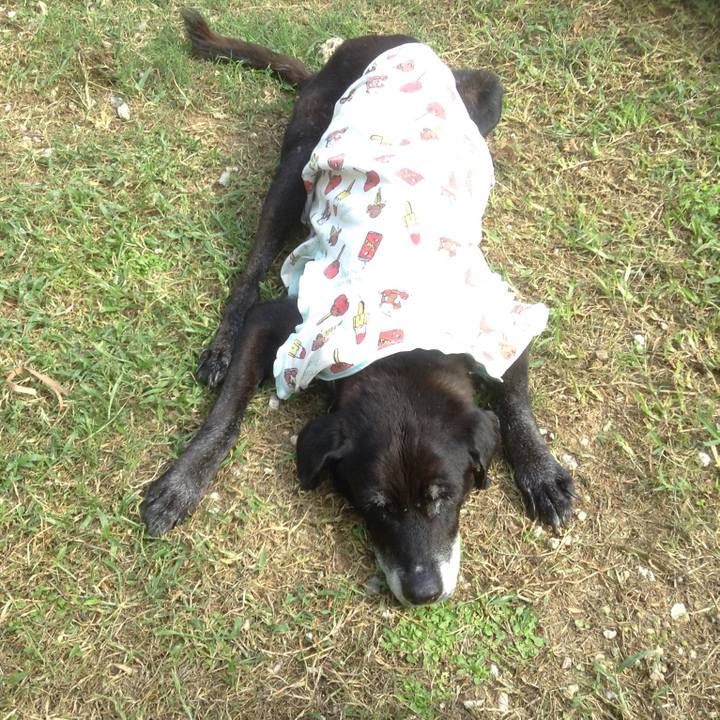 Ce276f00 478a 49f2 938e 9fd67905d238 1508829203236