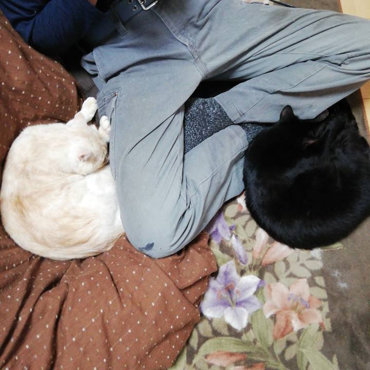 Ce277fe5 6f85 47af 841a 94c4cedaab0b 1615417107075