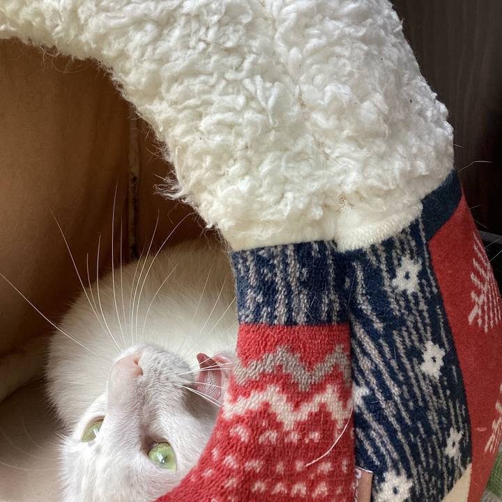 Ce277fe7 953b 4d40 98a9 5d26ebe0be43 1655601591279