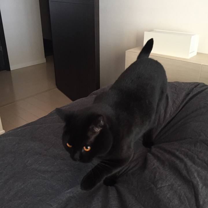 Ce27bc84 cd13 4270 855b 9b9828469901 1521933372259