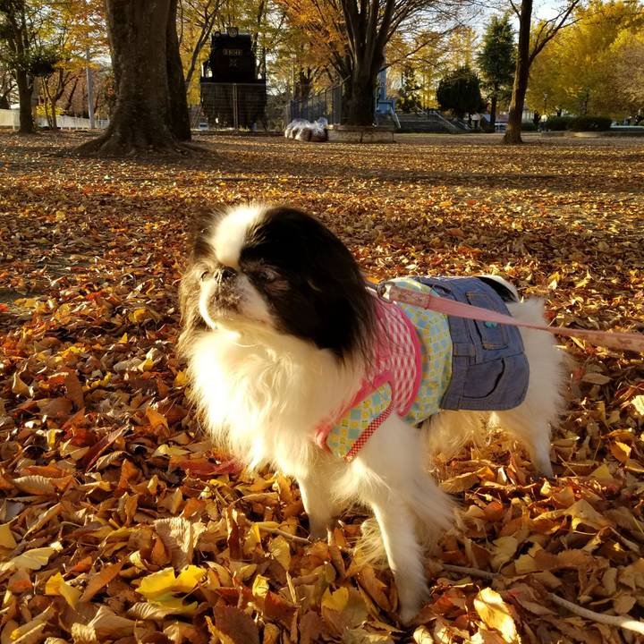 Ce27fb5e 9f83 40b4 99fb be8aed177160 1511616315174