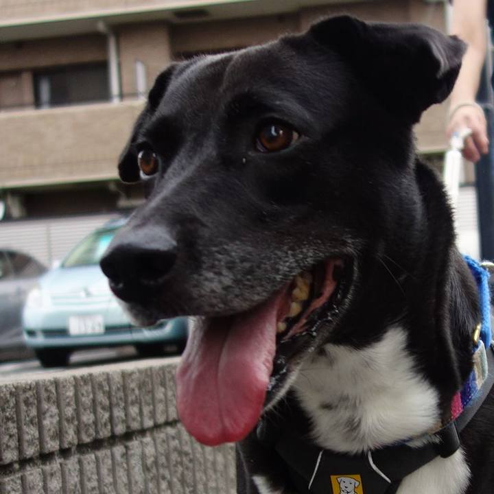 Ce28199b e01b 4c8e 8620 20b2c0f3079d 1657584289210