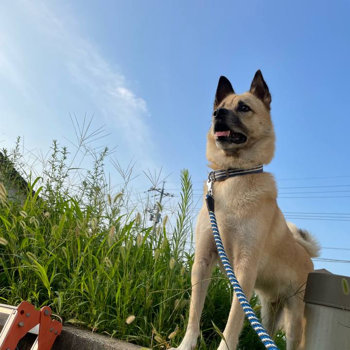 Ce283330 212a 4aca b125 d6cc57149ecd 1661773465341