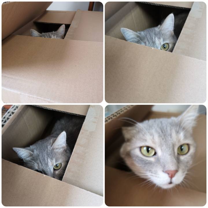 Ce285064 3d8c 4630 938a 51c5b06a4275 1563523667915