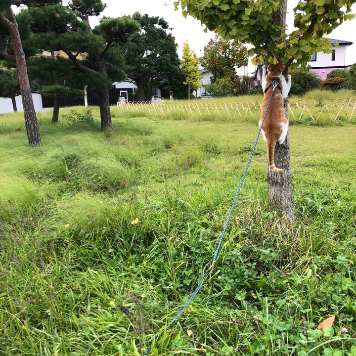 Ce285674 65ab 47a5 8625 0372d0119f7d 1539580941333