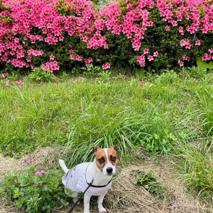 Ce28a02b 6ee6 4b18 96f8 c2ef8083353a 1624426827539