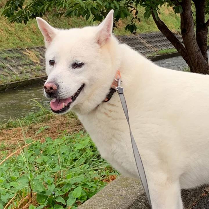 Ce28a203 4550 409f ba66 0fe6d003efcd 1565868424989