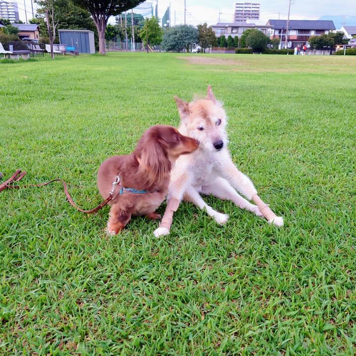 Ce28c7aa ad03 49e5 b7af 3274942d36f0 1662889020773