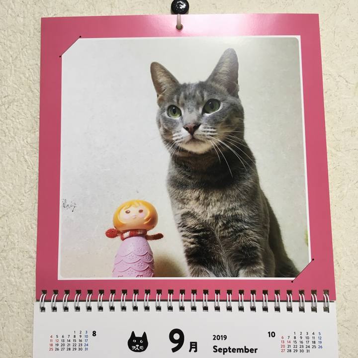 Ce28d5df afa5 461e 8269 5e33f8c956d5 1567296952126