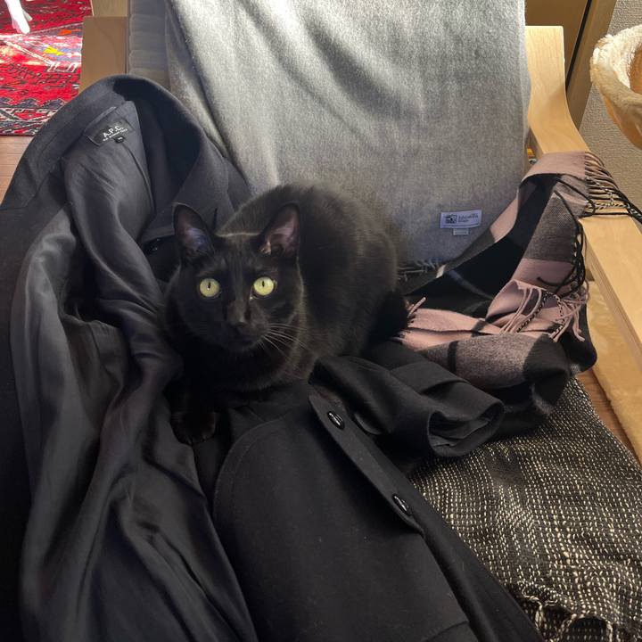 Ce28d781 8edf 488b bb9d 1a580130c665 1706330628251