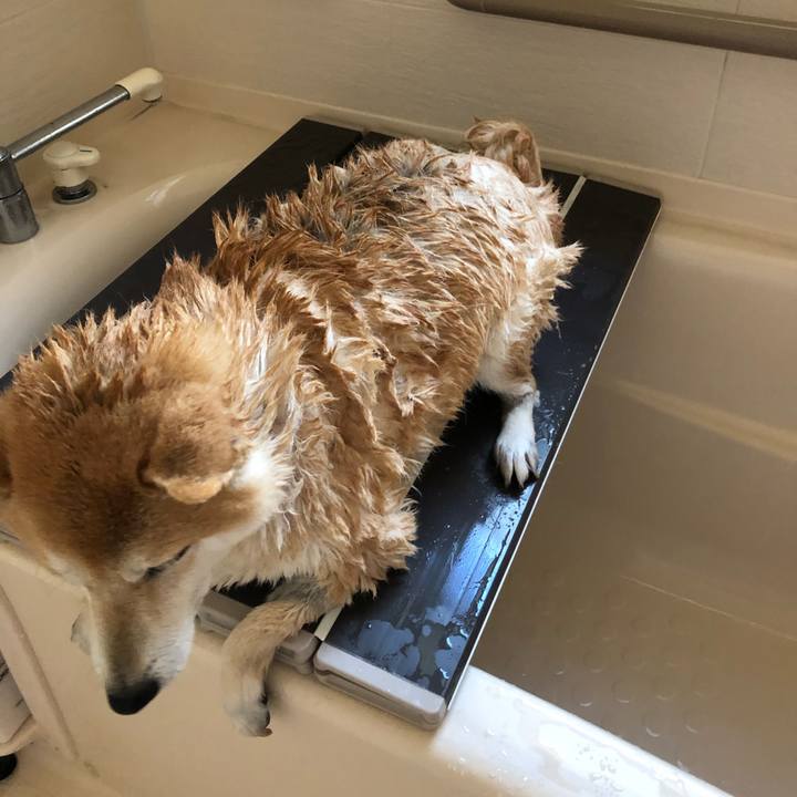 Ce28e515 6803 438b 8033 483a84d9ef56 1557059047905