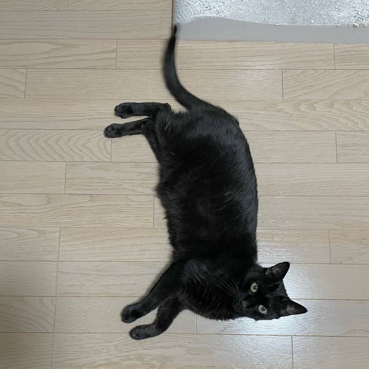 Ce28f26e deea 44c6 be07 3d738c4587de 1682940901180