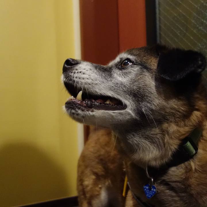 Ce28fe9b 2d51 4c80 aae9 a60013dca022 1552143870177