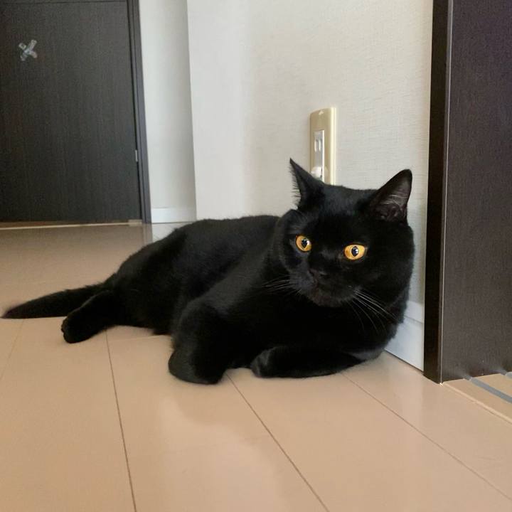 Ce291899 f052 4cef b10c 6189d3ec3c58 1647263135317