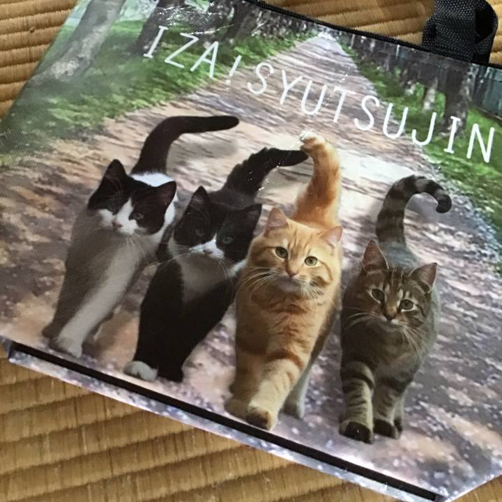 Ce294353 702f 450a acc3 3d953f6d83bd 1755516459115