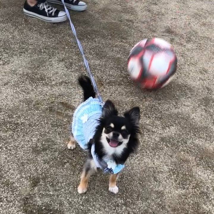 Ce295534 cbff 49d7 a92d 15731e818b87 1571612505072