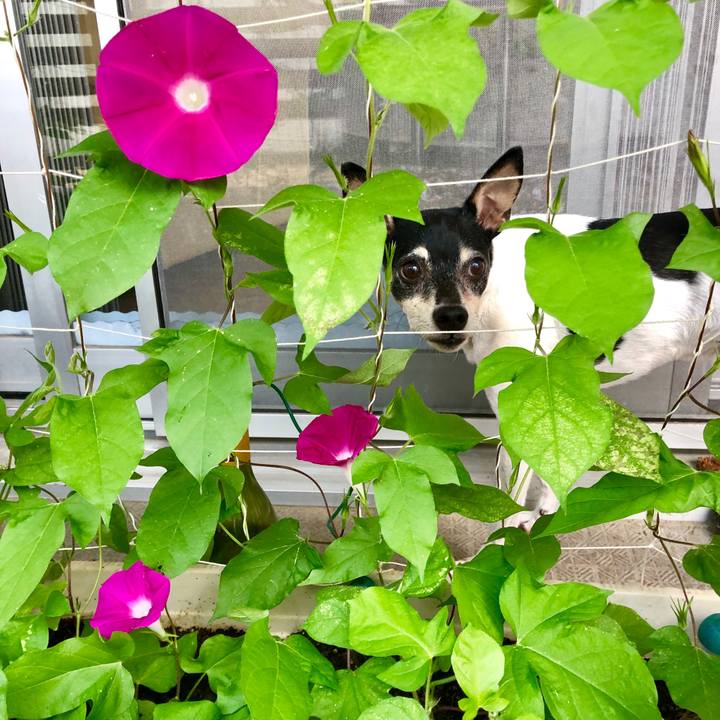 Ce2970aa f090 427a b513 96c31b60e041 1560981528288