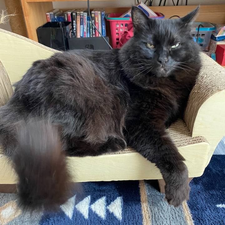 Ce2975b4 27ef 4993 b078 cdc2f2eb971f 1601000176616