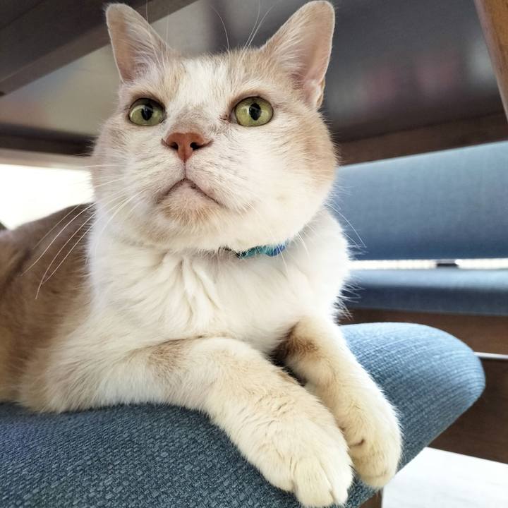 Ce29ea75 2438 44a8 8bdf b8d39fb047d9 1687126685011