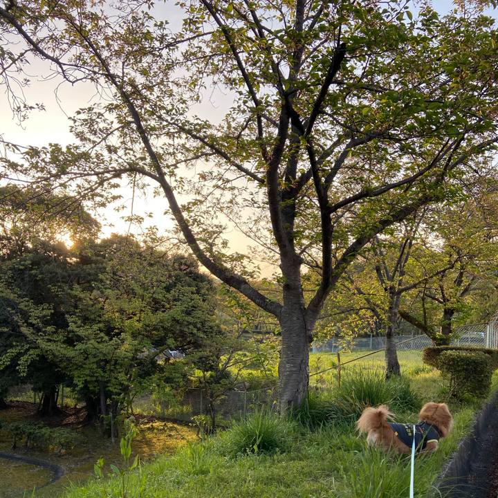 Ce29ed21 e3ca 44c7 a63b 8f1190e029ef 1618176155110