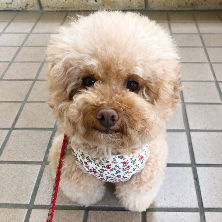 Ce2a02b1 ebc2 43e4 8f3f bf98b79ec01a 1508733151572