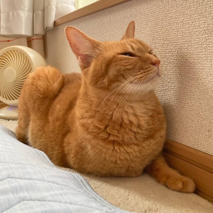 Ce2a12ba 15e4 4dcb 8ff0 2f7df8b37280 1757635690631