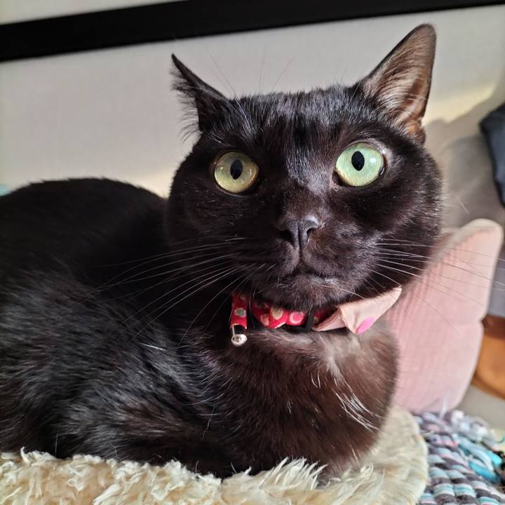 Ce2a25de 992c 431e 8fc7 de3aad8b748c 1639092516386