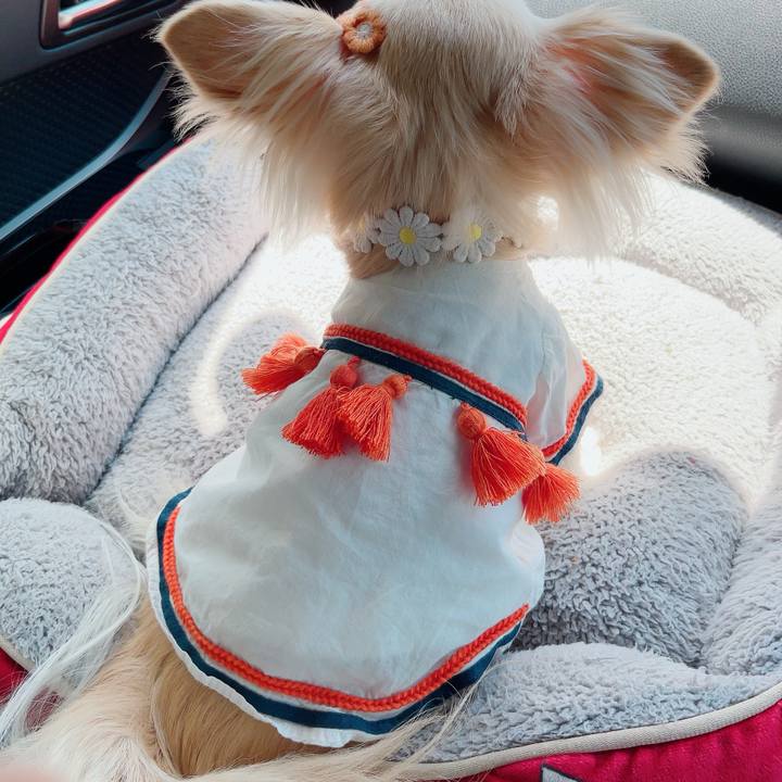 Ce2aa99d 70e9 4157 882d 130e125c1c07 1714275682000