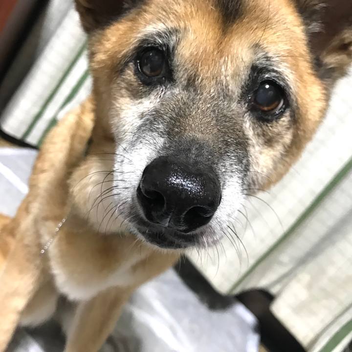 Ce2aab87 0618 4357 b3c0 3b1d3842911a 1541762606489