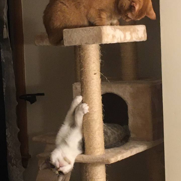 Ce2ac192 d6f1 4dc5 8c85 acf4a657e03c 1632961501349