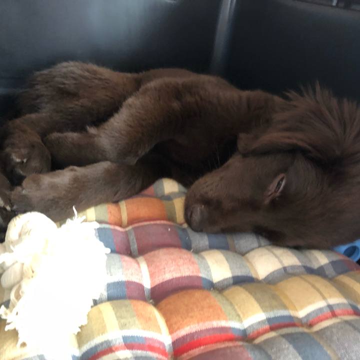 Ce2acba6 ca6f 47c7 99d6 c2e9b19dfa67 1553147072468