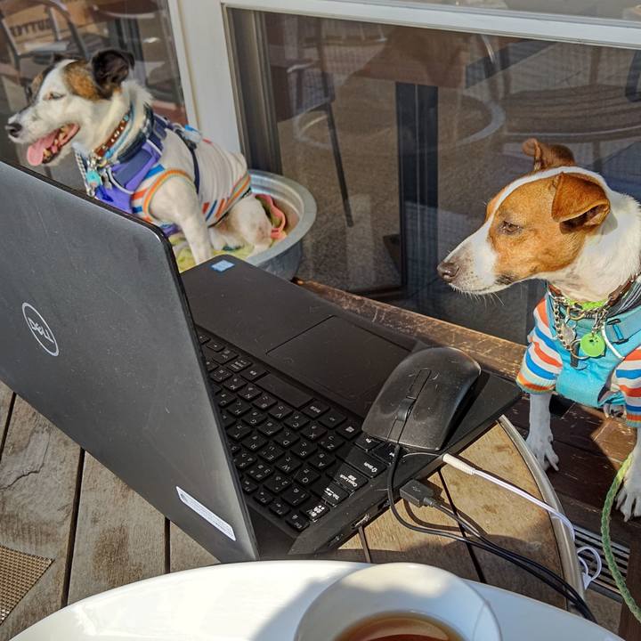 Ce2b166f ccd6 40b5 8485 fc04e268c891 1633694677923