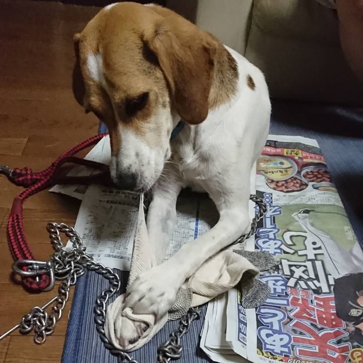 Ce2b1ac5 79cb 49e3 aa79 e2ece3d567ed 1565176085161