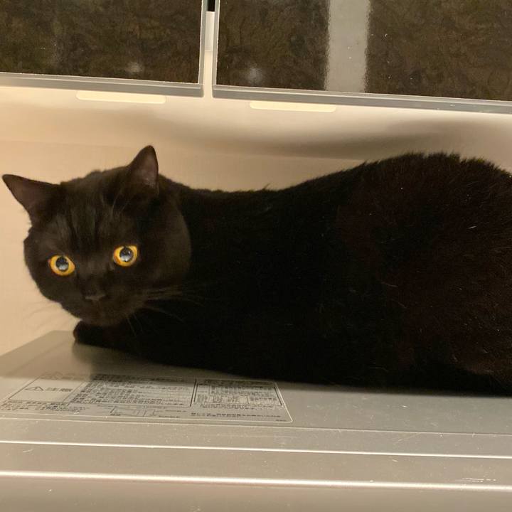 Ce2b3440 94f9 4905 87cc 8ee5f3022799 1637031576305