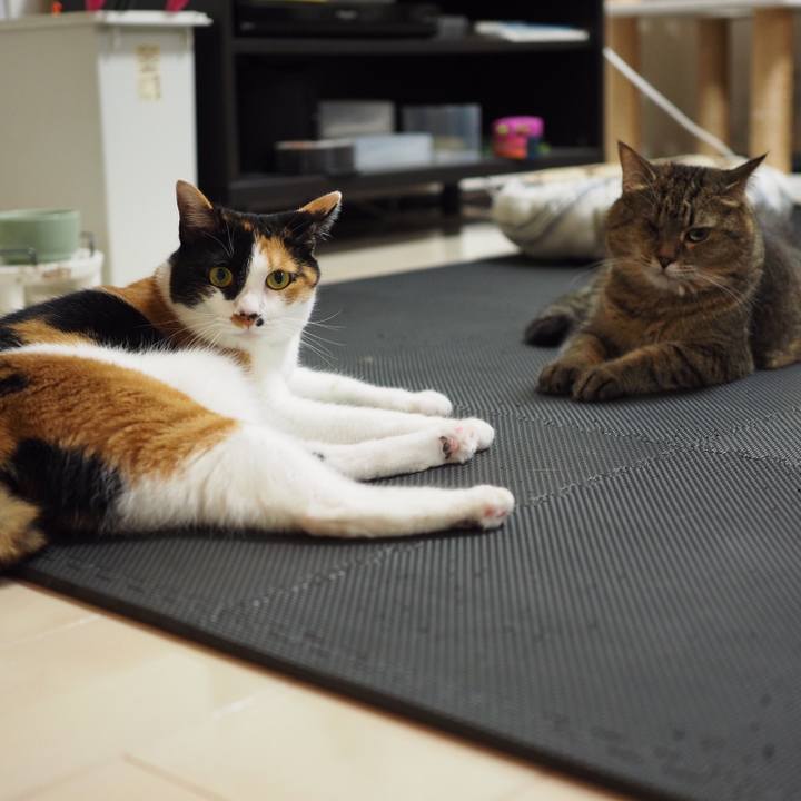 Ce2b5af2 e116 4295 a9ad 4424f46ea845 1531349700286