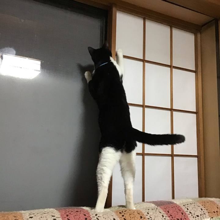 Ce2b7b68 bbb0 4de1 8548 009adafc5a2a 1726307999506