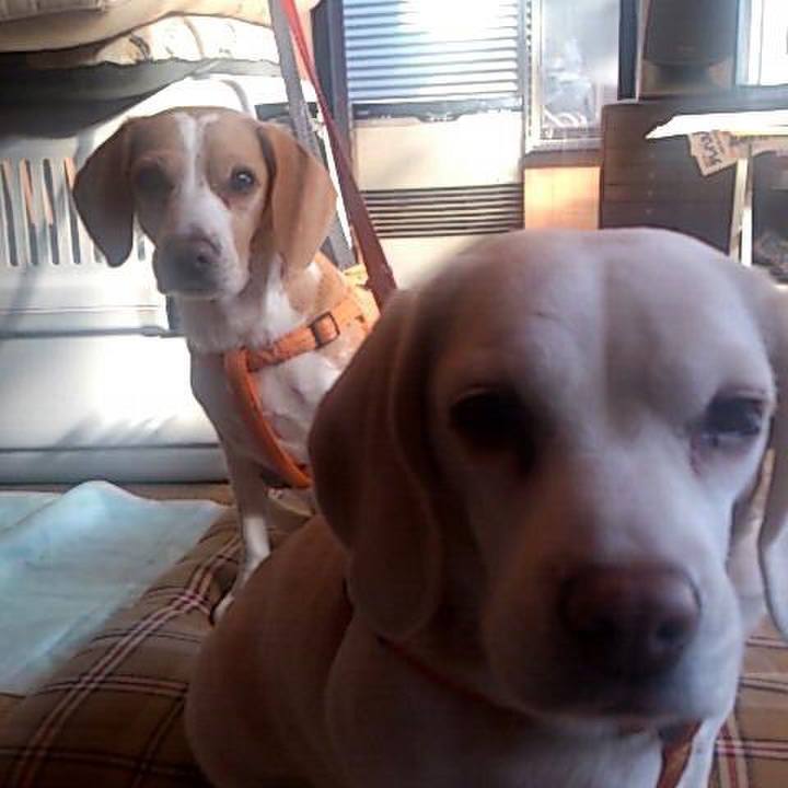 Ce2b983a 750c 44fc 8457 e0b6328101fa 1513919977750